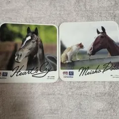 競馬　HUBコラボコースター ハーツクライ メイショウドトウ