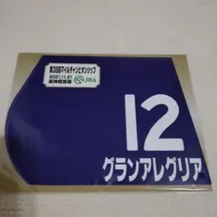 2026年最新】競馬ゼッケンの人気アイテム - メルカリ