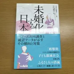 Item thumbnail for item 2248395b-3a01-4d87-808a-55b35916c9ab