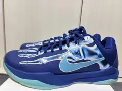 NIKE LEBRON XXI EP 世界1足限定 ナイキ レブロン - メルカリ