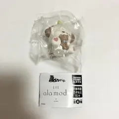 肩ズン　mikko　LIL ala mode　スフレ