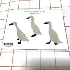 WARMGREY TAIL INDIAN RUNNER DUCKS ステッカー