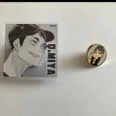 ハイキュー 宮治 横断幕 グリッター缶バッジ - メルカリ