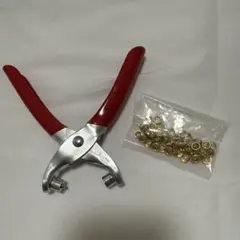 Item thumbnail for item 768886da-dde7-413b-b00a-3c9427a3673c