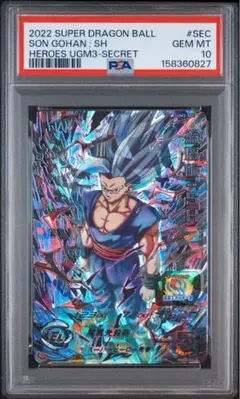 【PSA10】EVT1-SEC3 孫悟飯:少年期 ドラゴンボールヒーローズ PSA10】EVT1-SEC3 孫悟飯:少年期 ドラゴンボールヒーローズ - メルカリ