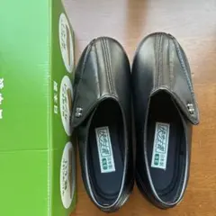 Item thumbnail for item f16dccc6-e723-4152-8adf-2acde73d8512