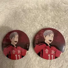 灰羽リエーフ　缶バッジ2個セット