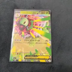 メガメガニウムex rr仕様 - メルカリ