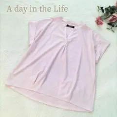 【ア・デイ・イン・ザ・ライフ】レディース ストライプ 半袖 シャツ ピンク