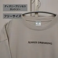 ディズニープリンセス 長袖Tシャツ グレージュ オーバーデザイン フリーサイズ