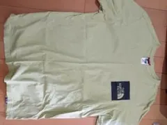 THE NORTH FACE ライトグリーン Tシャツ M