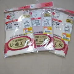 Item thumbnail for item c6838b1f-6711-419d-bd68-c2d29a92dda3