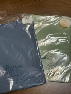 Item thumbnail for item 7265f747-5582-4db7-baef-b3b4cf2604e5