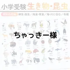 コペル　プリント教材 コペルプリント C VOL，1,2,4 右脳教育 小学校受験 幼児教育