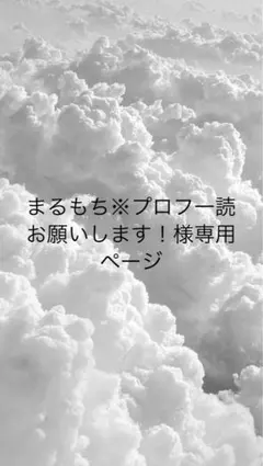 まるもち様専用ページ