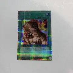 突然変異 プリズマ　メタモルフォーゼ　プリシク