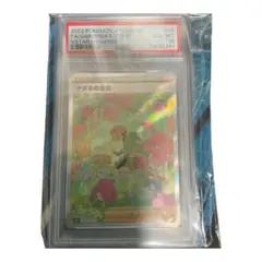 ナタネの活気　PSA10