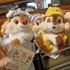 Disney - 【現地購入☆正規品】チップとデール　誕生日ぬいぐるみキーホルダー　上海ディズニー 2101540823.jpg?1701006920