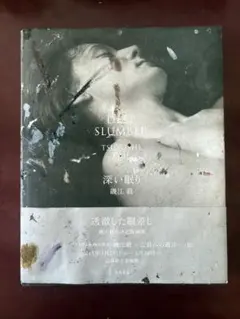 はるまきごはん そらる グッドナイトフォール アニメイト特典CD - メルカリ