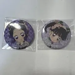 鬼滅の刃 ナンジャタウン 胡蝶しのぶ 栗花落カナヲ 缶バッジ レア グリッター