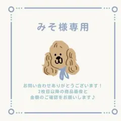 みそ様 リクエスト 3点 まとめ商品