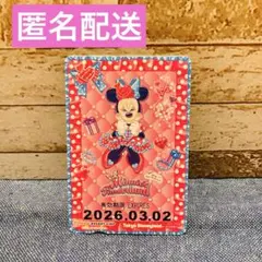 リゾラ フリーきっぷ ミニーのファンダーランド