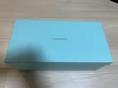 Tiffany & Co. カップ2個セット