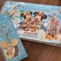 東京ディズニーリゾート 30周年記念　ランチバッグ&キーチェーンセット