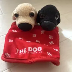 ふぉうちゅんドッグす ぬいぐるみ 犬 BIG 非売品 ビーチャン ラブリー