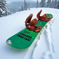 SCOOTER×FLUX　良質国産　スノーボードセットOGASAKA製　バイン付 OGASAKA/November/Scooter - SPINY スパイニー 公式サイト