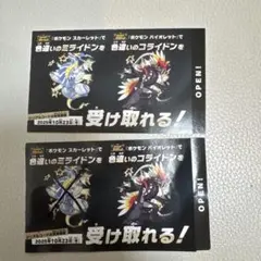 色違いミライドンコライドン2枚（1枚はコライドンのみ）