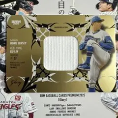 Item thumbnail for item 16cafc17-74cf-405a-858c-1bd09200f2ab