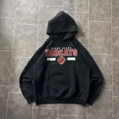 Item thumbnail for item 0590038e-1a74-4cc4-8461-f1b0761a8b41