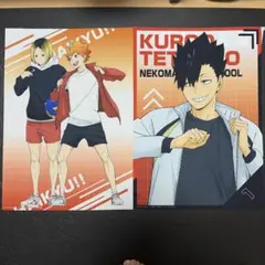 ハイキュー！！ フライヤー フェアうちわ ナツコミ2018 マグネット 