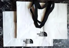 韓国限定 THENORTHFACE　ノースフェイス　ショッパー 2枚セット L