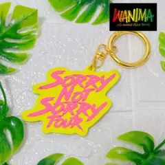 WANIMA ラバーキーホルダー Sorry Not Sorry Tour 黄色