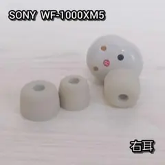 2026年最新】SONY wf-1000xm5 右耳の人気アイテム - メルカリ