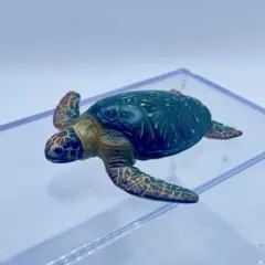 チョコQ 日本の動物 第6弾 アオウミガメ【海洋堂】ブック有