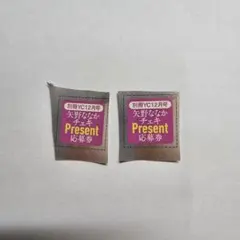 別冊ヤングチャンピオン12月号矢野ななか サイン付きチェキ応募券2枚セット