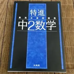 最高水準問題集 特進 中2数学