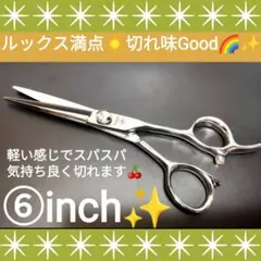 スパッと快適に切れる理美容師サロン用シザーカットバサミ❊犬トリミングペットも◎