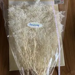 Item thumbnail for item 303d0b0f-fbaf-4c36-84db-feb8e6643f07