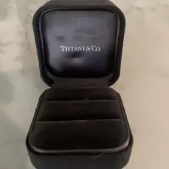 Tiffany & Co. リングケース ジュエリーボックス　ダブル