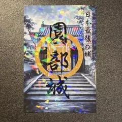 ○お城EXPO 2025限定 御城プロジェクト 10周年 古河城 御城印 ②