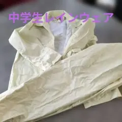 Item thumbnail for item 7fae68dd-bf4a-44fc-a185-7f49f13102fa