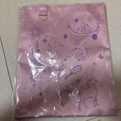 Disney Wishing Stars 一番くじ　E賞