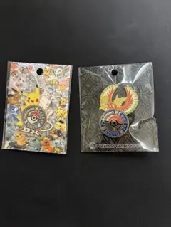 ポケモンセンターピンズセット　東京 京都 2個セット トウキョーDX キョウトのサムネイル