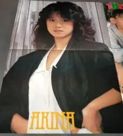 2026年最新】ポスター 河合奈保子の人気アイテム - メルカリ