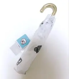 Item thumbnail for item e608986e-24e7-4767-a19b-b871439a47bf