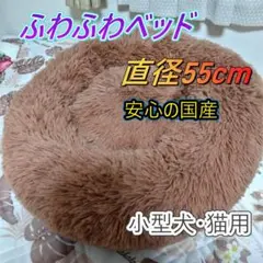 Item thumbnail for item ddde5dd5-b29d-4d03-8155-92b45e2ee19c